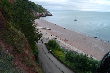 The beach at Babbacombe Bay below wooded cliffs