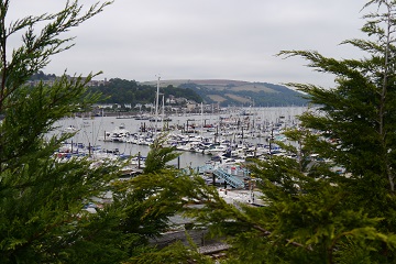 Boats moored at Kingswear Marina on the River Dart