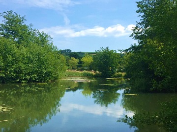 Trees and sky reflected in one of the lakes