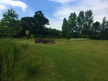 A low timber enclosure on the mown grass, with reeds in front and tall trees behind